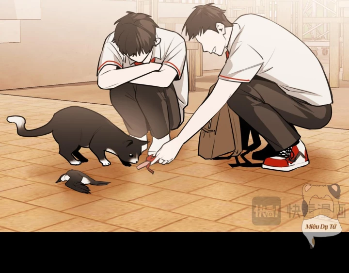 Ảo Mộng Chapter 23 - Next 