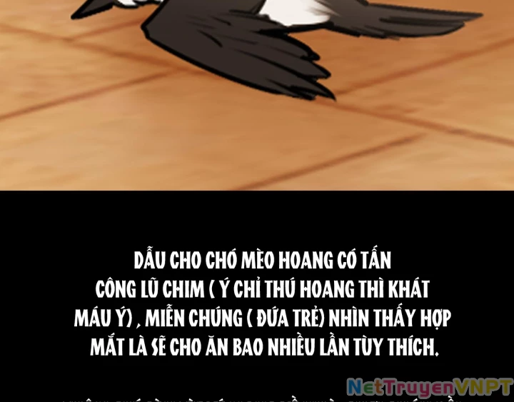 Ảo Mộng Chapter 23 - Next 