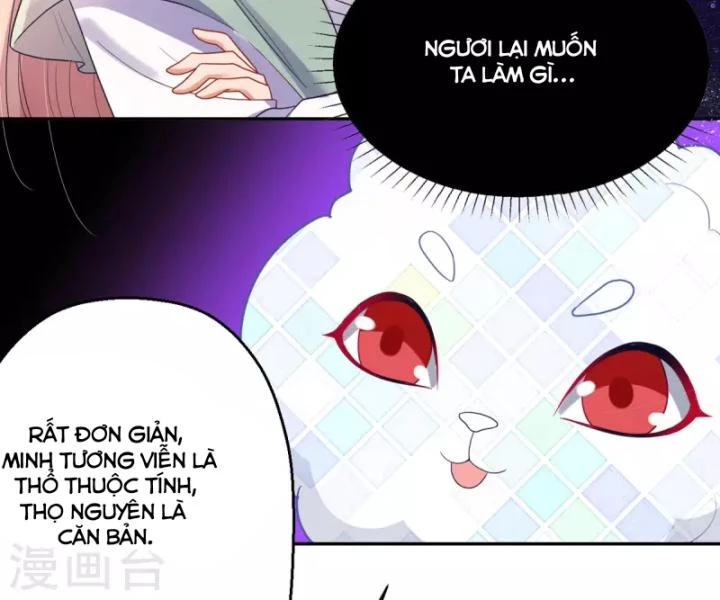 Tiên Y 3,5 Tuổi Đáng Yêu Chapter 40 - Trang 2