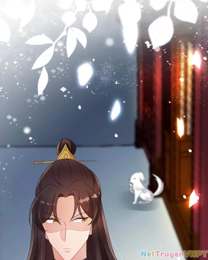 Tiên Y 3,5 Tuổi Đáng Yêu Chapter 61 - Trang 2