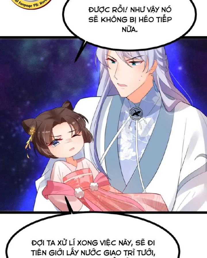 Tiên Y 3,5 Tuổi Đáng Yêu Chapter 64 - Trang 2