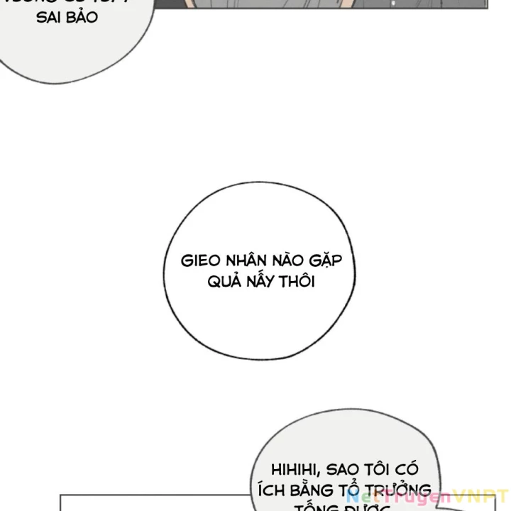 Thỏ Dính Bẫy Tin Đồn Chapter 27 - Trang 2