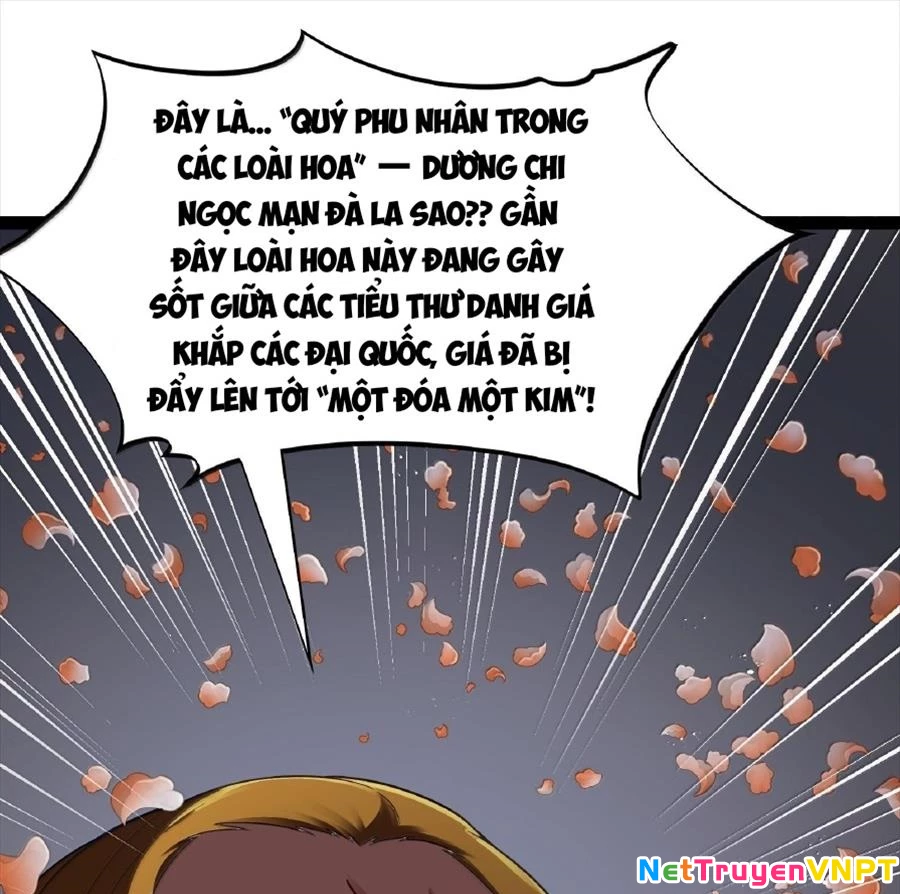 Anh Hùng Giai Cấp Tư Sản Chapter 113 - Trang 4