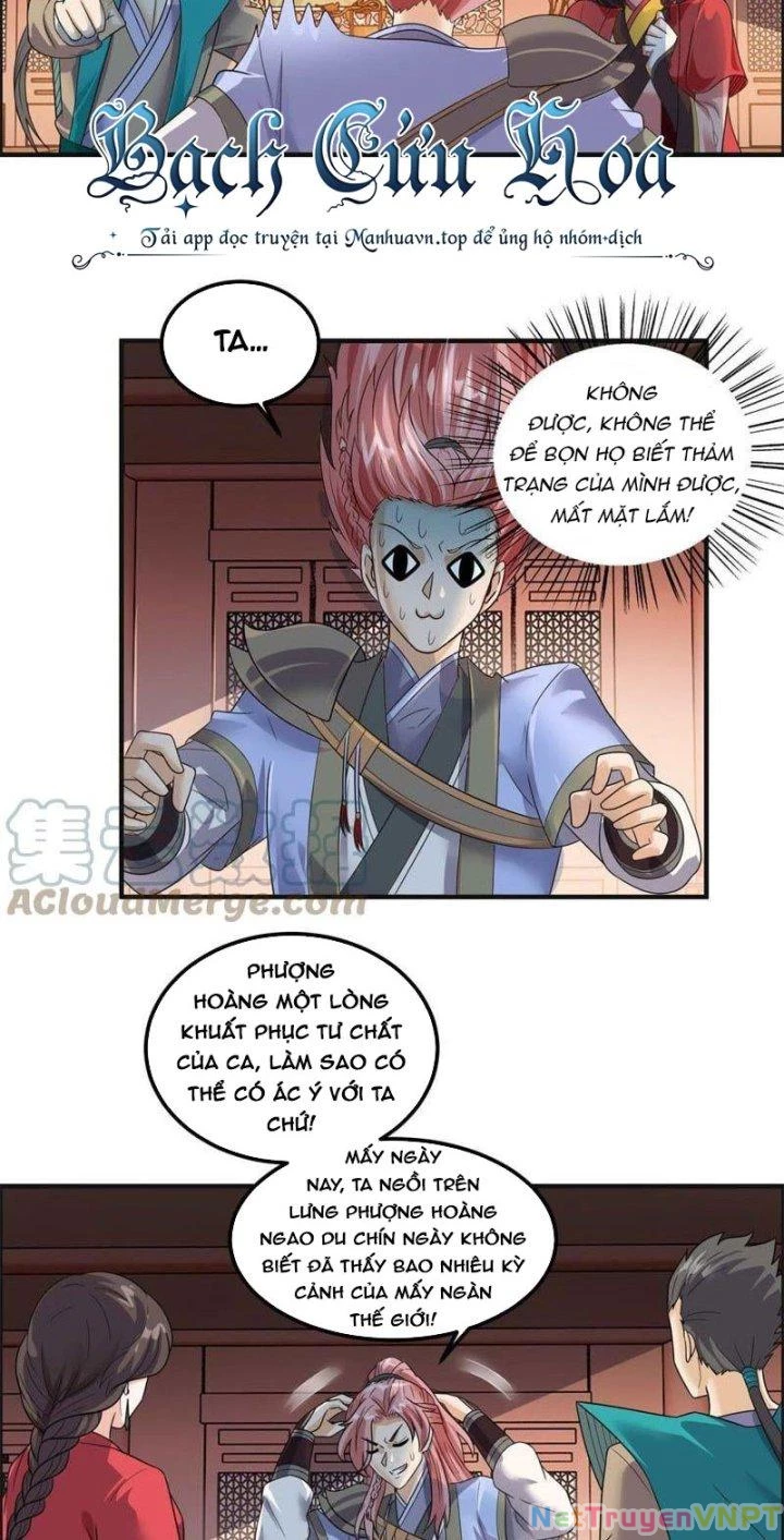 Tối Cường Quang Hoàn Hệ Thống Chapter 78 - Trang 3