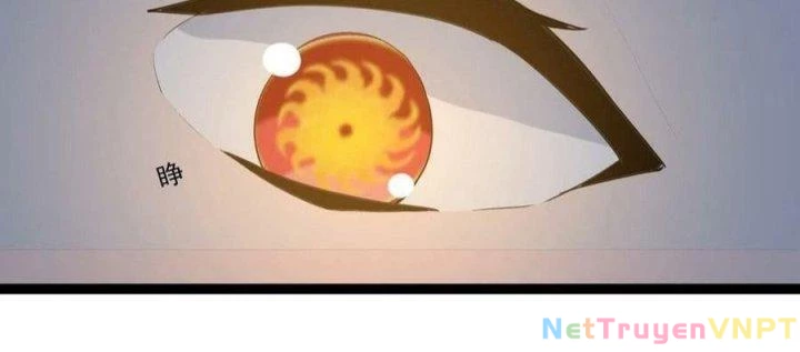 Giải Thoát 99 Nữ Chính Ở Mạt Thế Chapter 174 - Trang 3
