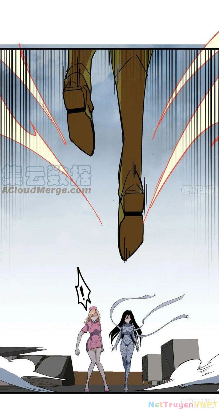 Giải Thoát 99 Nữ Chính Ở Mạt Thế Chapter 202 - Trang 3