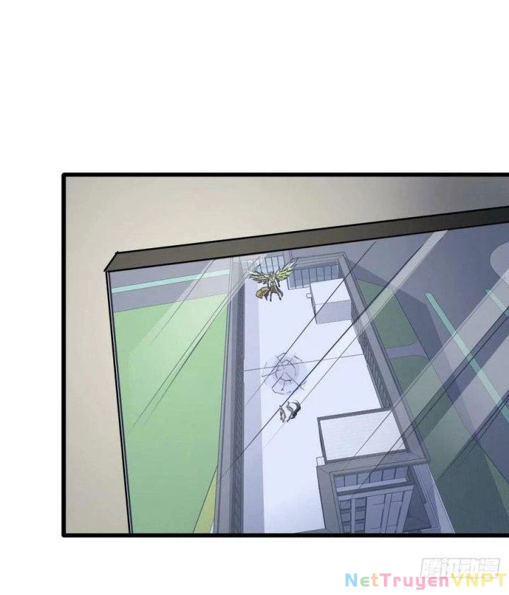 Giải Thoát 99 Nữ Chính Ở Mạt Thế Chapter 202 - Trang 3