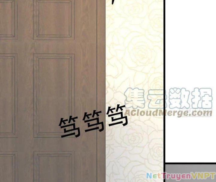 Giải Thoát 99 Nữ Chính Ở Mạt Thế Chapter 206 - Trang 3