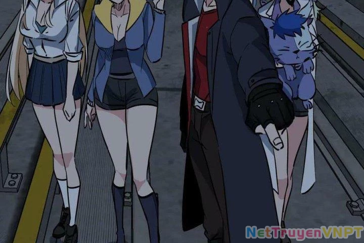 Giải Thoát 99 Nữ Chính Ở Mạt Thế Chapter 209 - Trang 3