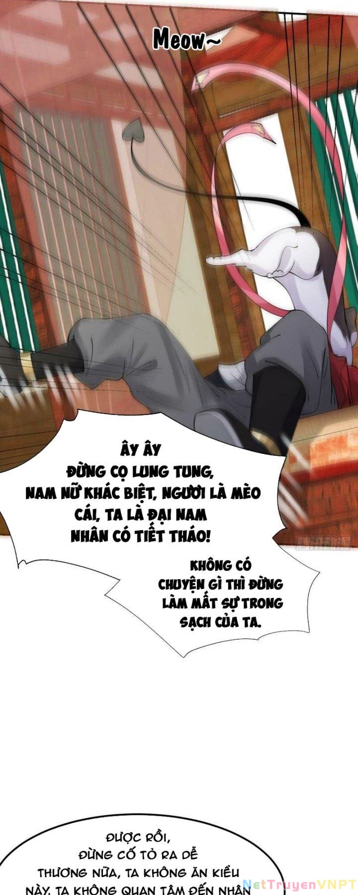 Xui Xẻo Đại Chiến Khí Vận Vương Chapter 11 - Trang 3