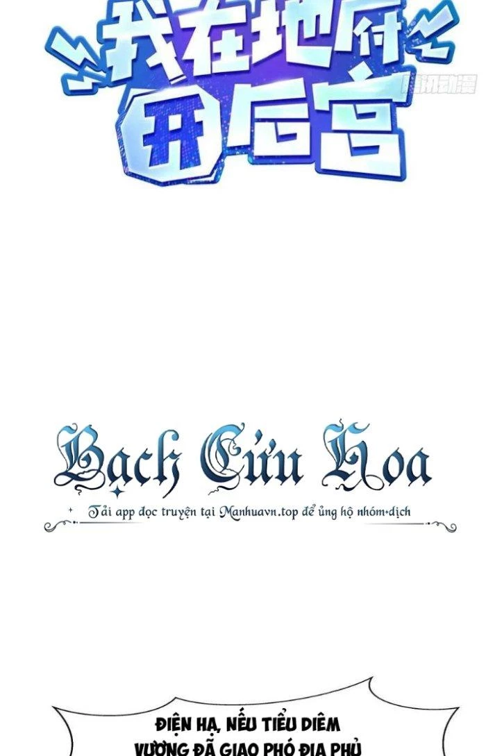 Ta Ở Địa Phủ Mở Hậu Cung Chapter 138 - Trang 3
