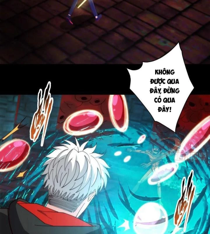 Trở Lại Với Sức Mạnh Của Hệ Thống Chapter 65 - Trang 3