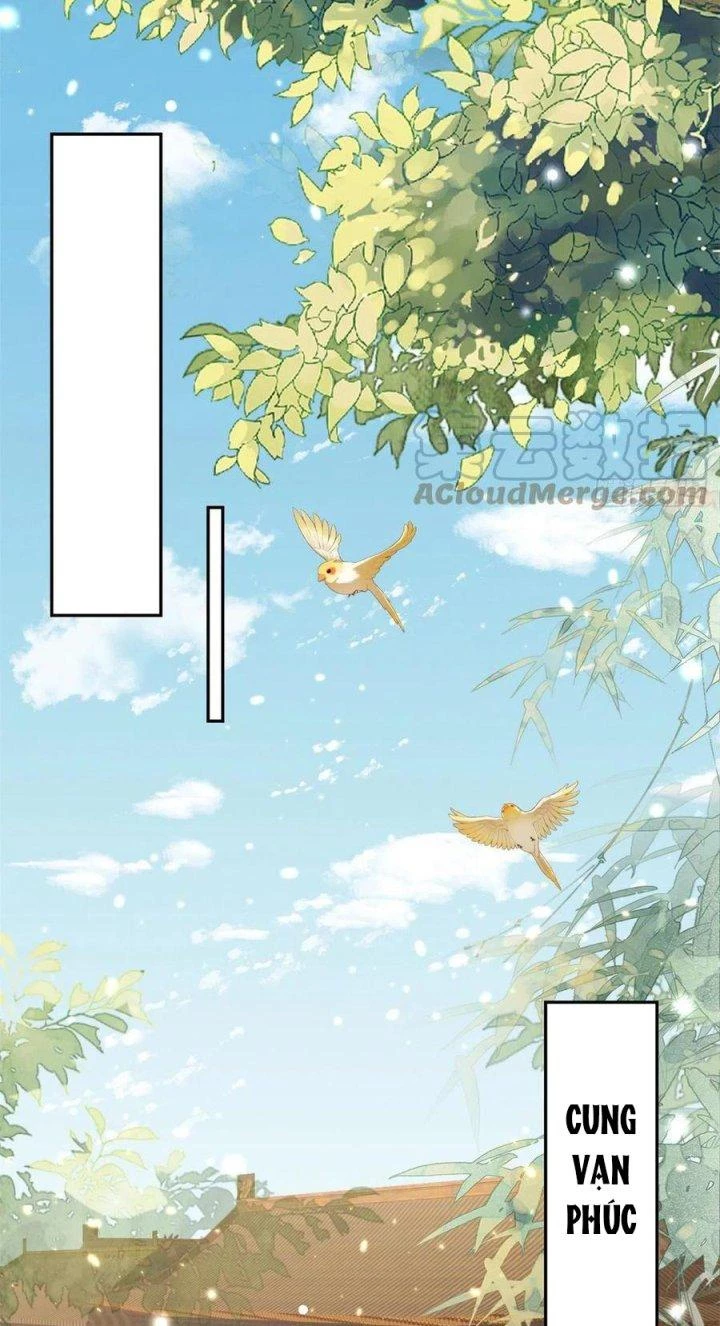 Trở Thành Lão Đại Từ Việc Tiêu Tiền Chapter 67 - Trang 2