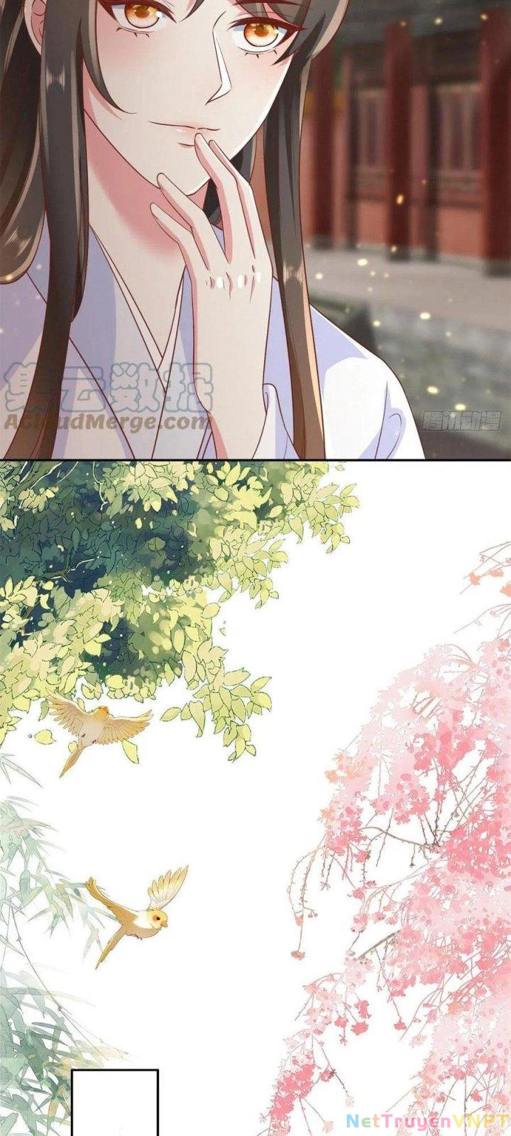 Trở Thành Lão Đại Từ Việc Tiêu Tiền Chapter 72 - Trang 3