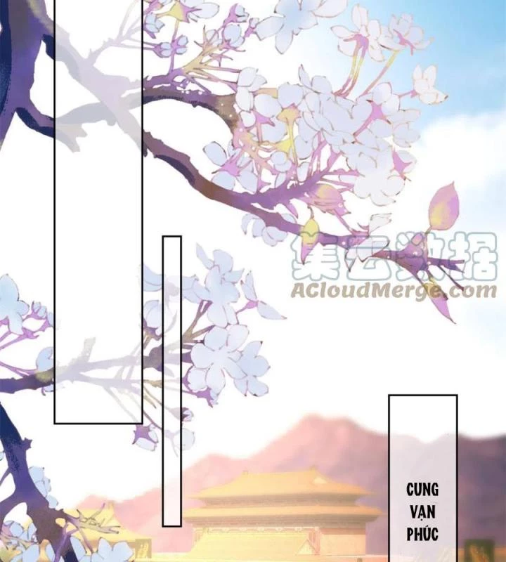 Trở Thành Lão Đại Từ Việc Tiêu Tiền Chapter 80 - Trang 2