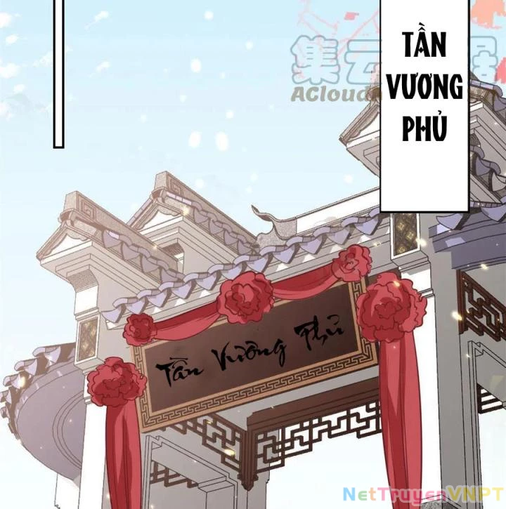 Trở Thành Lão Đại Từ Việc Tiêu Tiền Chapter 81 - Trang 2