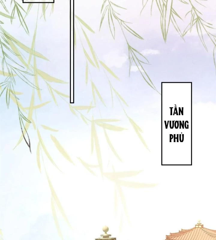 Trở Thành Lão Đại Từ Việc Tiêu Tiền Chapter 83 - Trang 3