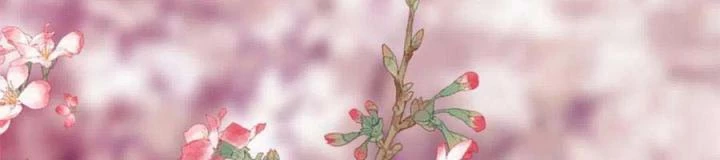 Trở Thành Lão Đại Từ Việc Tiêu Tiền Chapter 92 - Trang 3