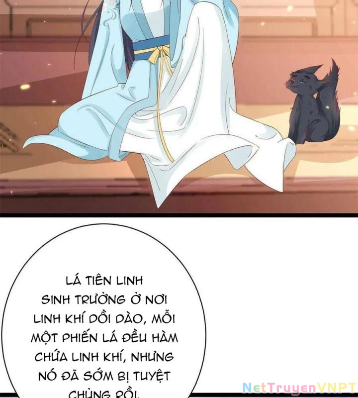 Trở Thành Lão Đại Từ Việc Tiêu Tiền Chapter 95 - Trang 2