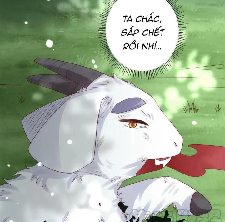 Trở Thành Lão Đại Từ Việc Tiêu Tiền Chapter 96 - Trang 3