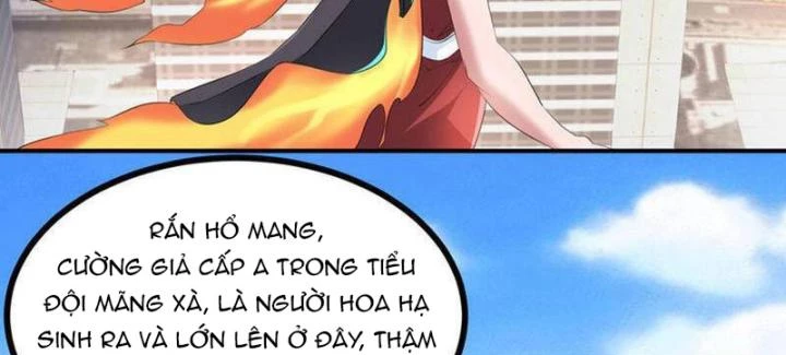 Ta Quét Phó Bản Ở Khắp Thế Giới Chapter 81 - Trang 3