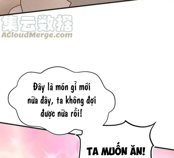 Võ Lâm Đệ Nhất Đầu Bếp Chapter 70 - Trang 2