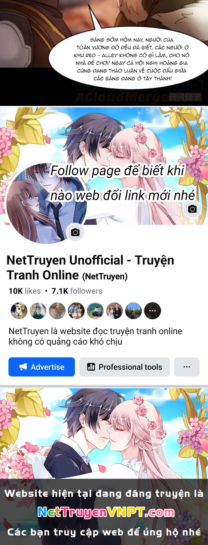 Vương Quốc Huyết Mạch Chapter 88 - Trang 3