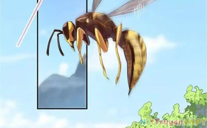 Nữ Thần Trong Điện Thoại Chapter 104 - Trang 4