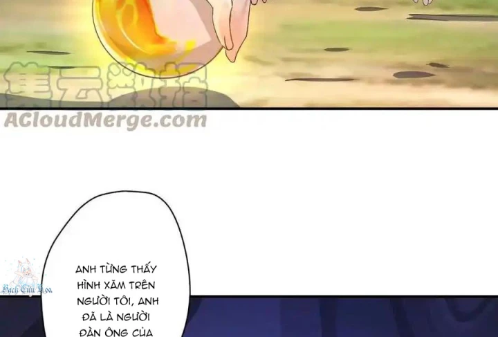 Nữ Thần Trong Điện Thoại Chapter 222 - Trang 3