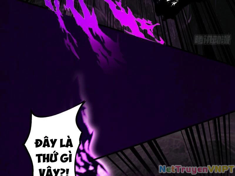 Gặp Mạnh Thì Mạnh, Ta Tu Vi Vô Thượng Hạn Chapter 35 - Trang 2