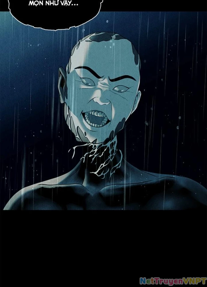 Cửa Hàng Đồ Cổ Tương Lai Chapter 19 - Trang 3