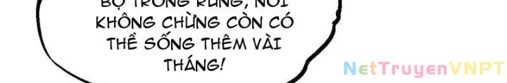 Mạt Thế Trùng Sinh: Ta Dựa Vào Mở Rương Vấn Dỉnh Đỉnh Phong Chapter 45 - Trang 3