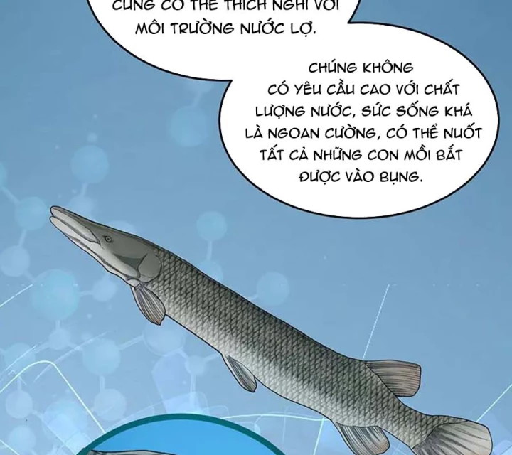 Kẻ Thách Thức Hay Nhà Không Tưởng Chapter 36 - Trang 2