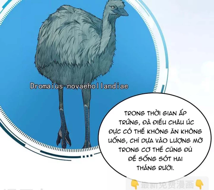 Kẻ Thách Thức Hay Nhà Không Tưởng Chapter 36 - Trang 2