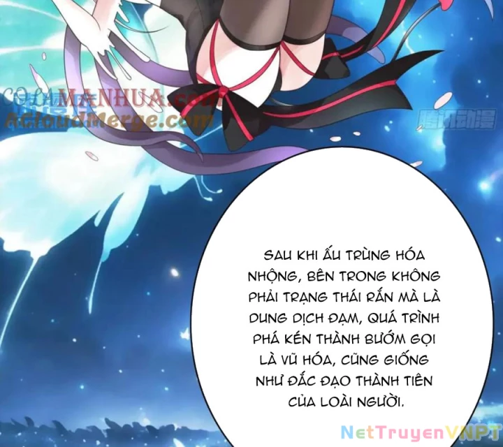Pure Love Succubus Scraps Sword Fairy Chapter 69 - Trang 3