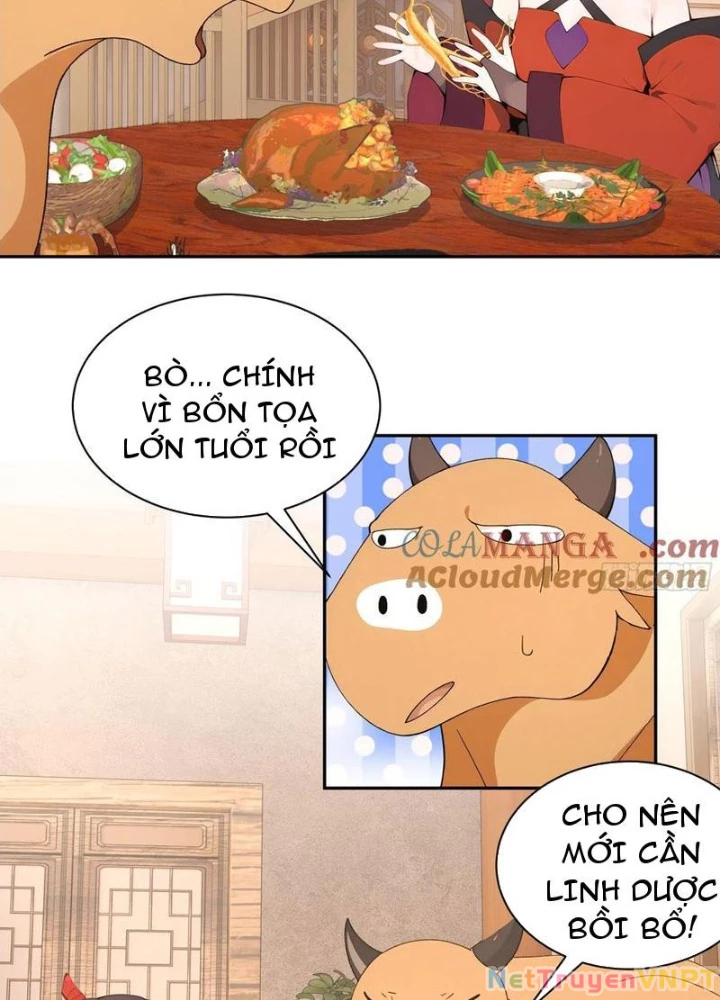 Bách Thê Phổ: Thánh nữ đều gọi ta là phu quân Chapter 46 - Trang 3
