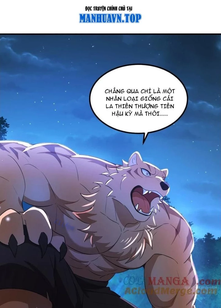 Tu chân trăm vạn năm: Đệ tử của ta trải rộng tiên giới Chapter 51 - Trang 2