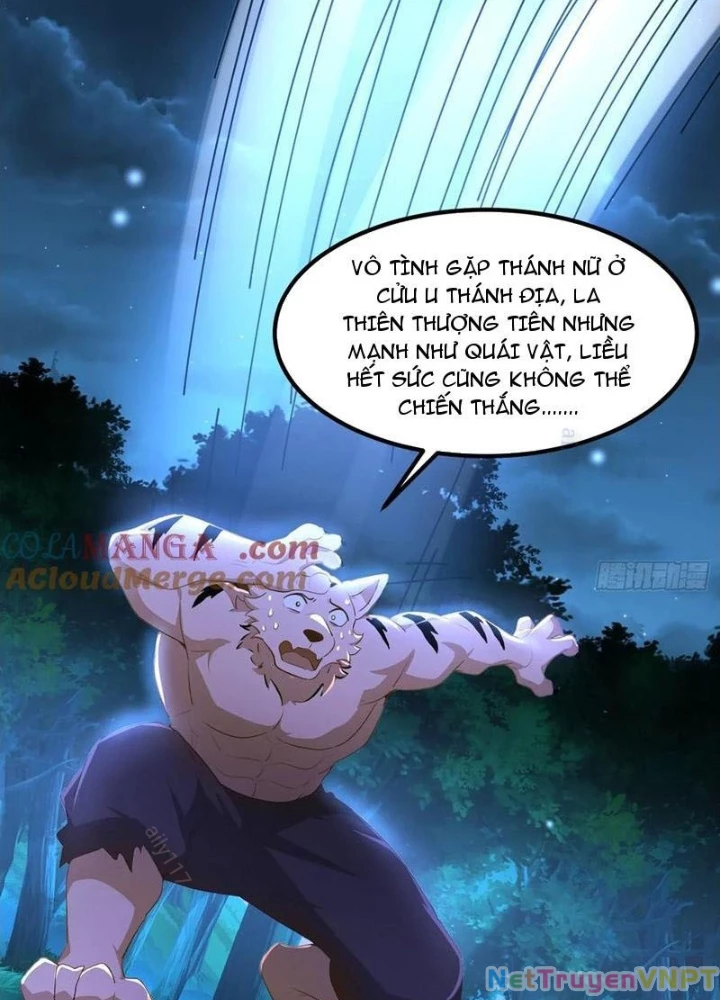 Tu chân trăm vạn năm: Đệ tử của ta trải rộng tiên giới Chapter 51 - Trang 2
