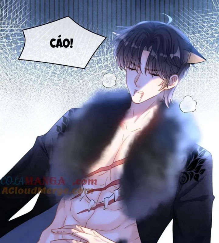 Giáo Thảo Bá Đạo Cầu Tôi Quay Lại Chapter 58.2 - Trang 2