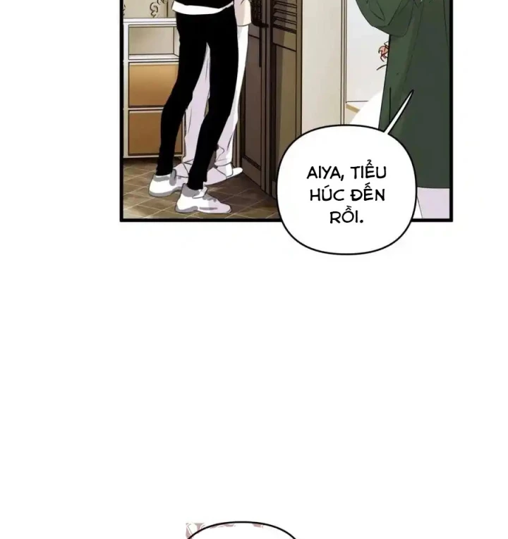 Hoàng Tử Bé Chapter 13.1 - Next Chapter 14