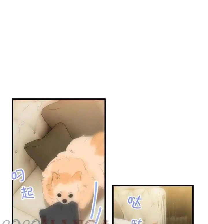 Hoàng Tử Bé Chapter 13.1 - Next Chapter 14