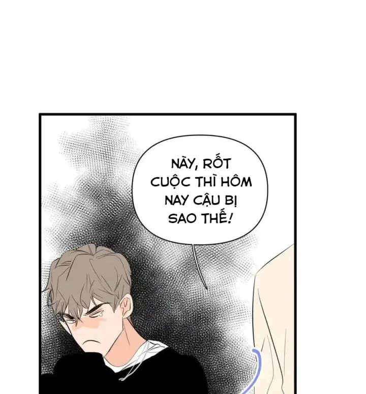 Hoàng Tử Bé Chapter 13.1 - Next Chapter 14