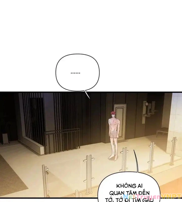 Hoàng Tử Bé Chapter 13.1 - Next Chapter 14