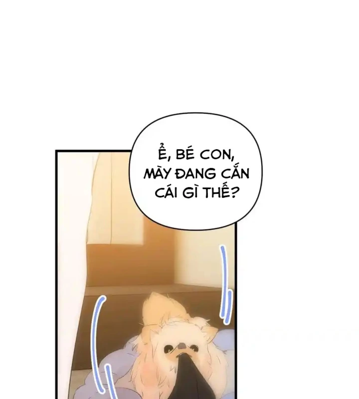 Hoàng Tử Bé Chapter 13.1 - Next Chapter 14