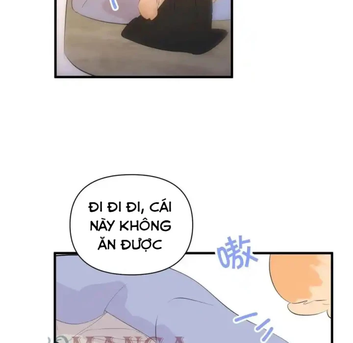 Hoàng Tử Bé Chapter 13.1 - Next Chapter 14