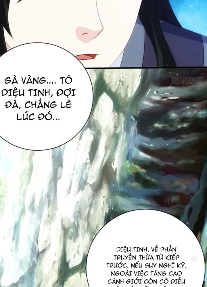 Thê Tử Của Ta Là Đại Lão Đại Thừa Kỳ Chapter 76 - Trang 2