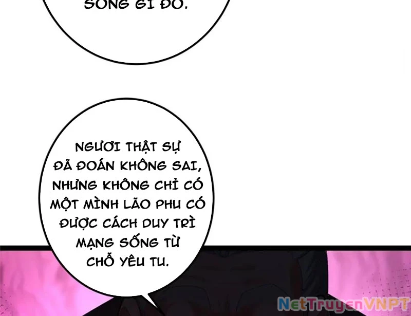 Chưởng Môn Khiêm Tốn Chút Chapter 489 - Trang 4