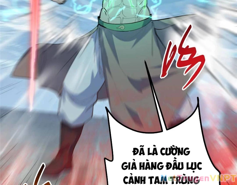 Chưởng Môn Khiêm Tốn Chút Chapter 489 - Trang 4