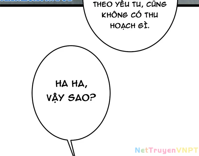 Chưởng Môn Khiêm Tốn Chút Chapter 489 - Trang 4
