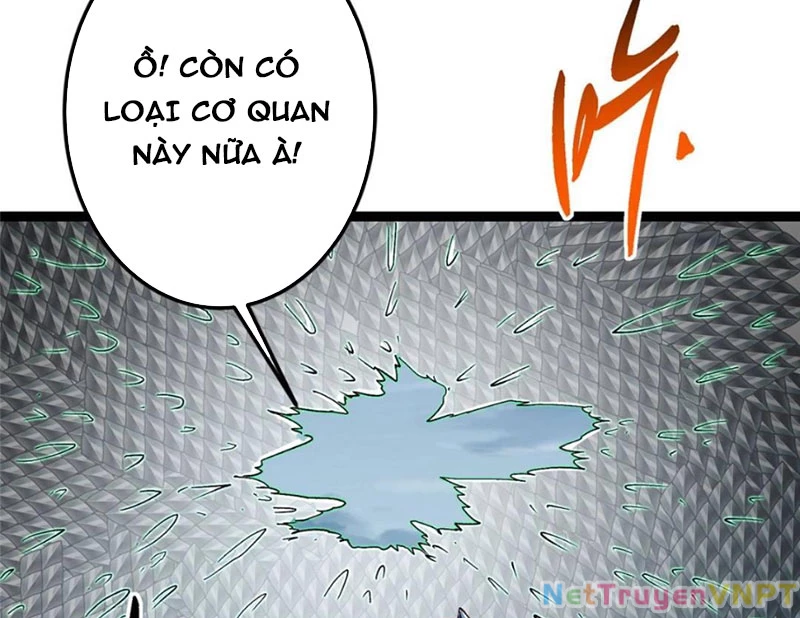 Chưởng Môn Khiêm Tốn Chút Chapter 489 - Trang 4